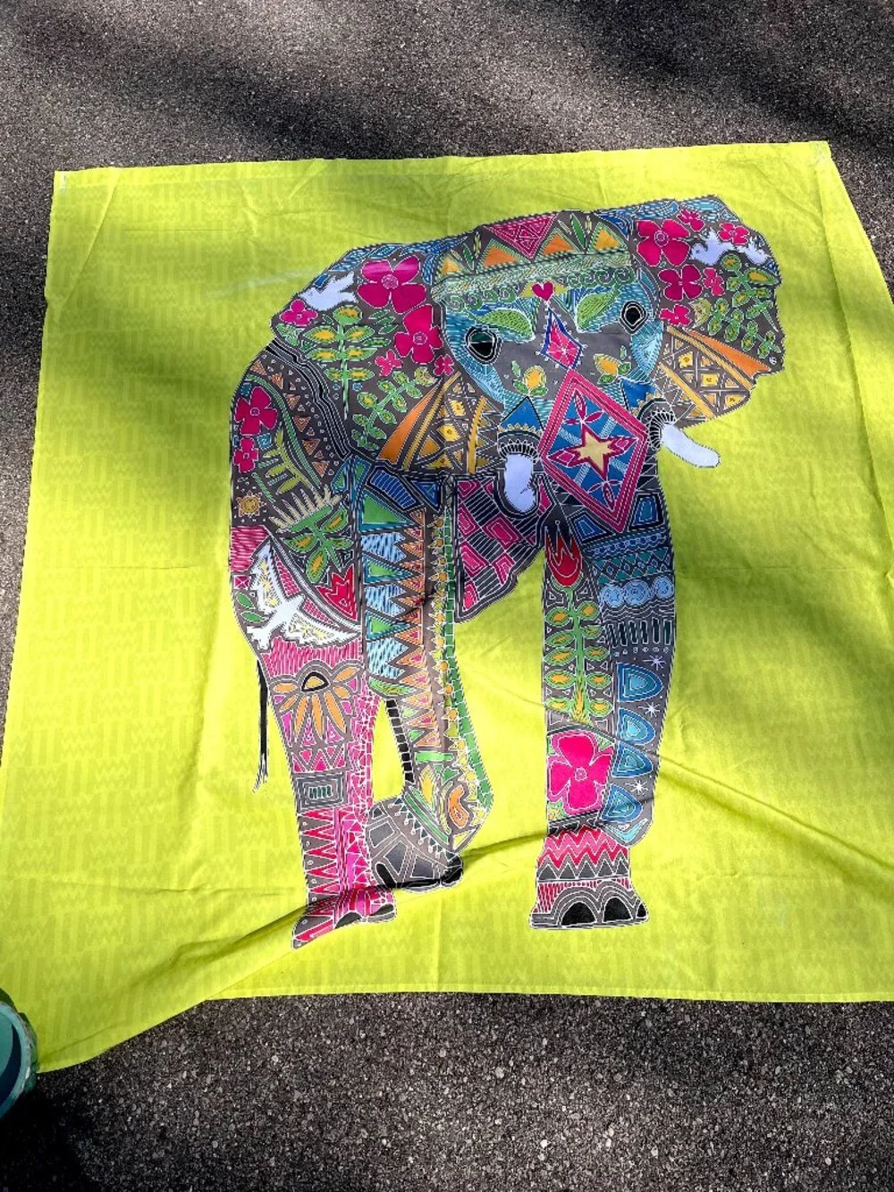 Deny Designs Elephant Shower Curtain & Hooks Green Pink Blue Colorful Rave Boho